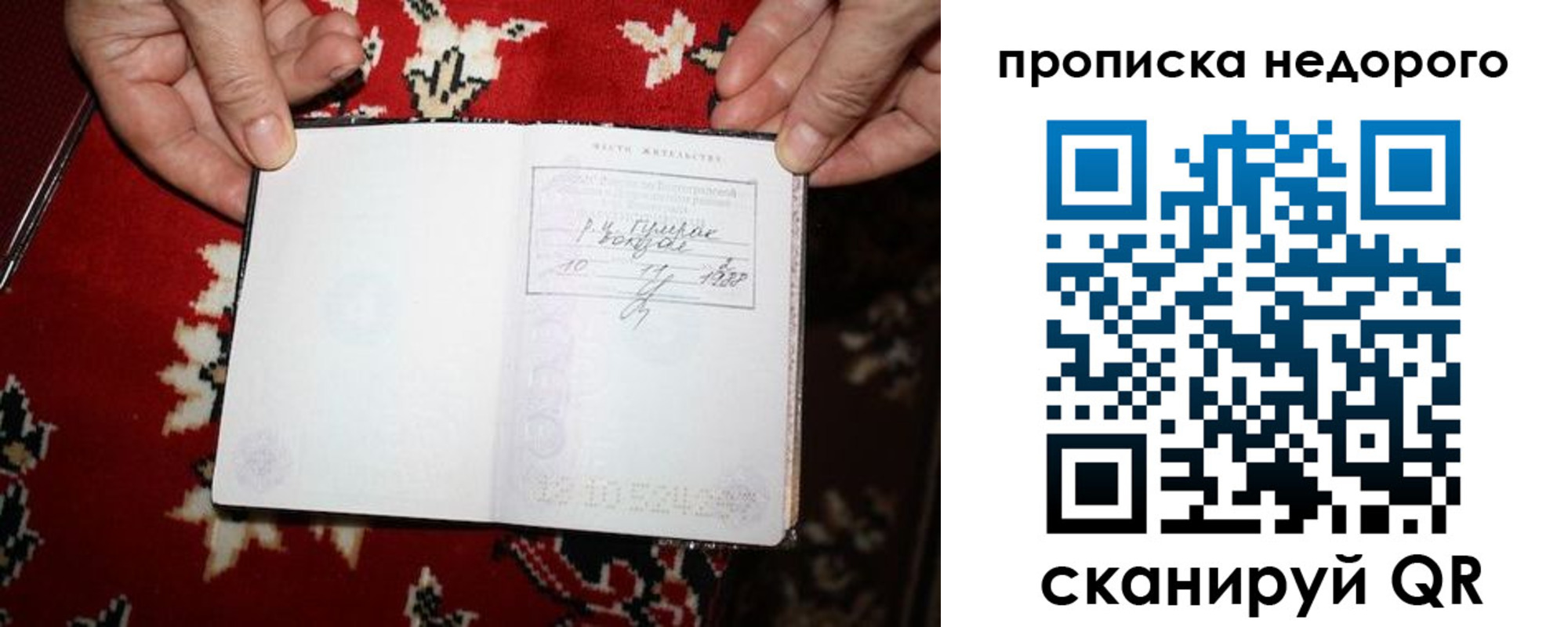 прописка гарантия в Истре